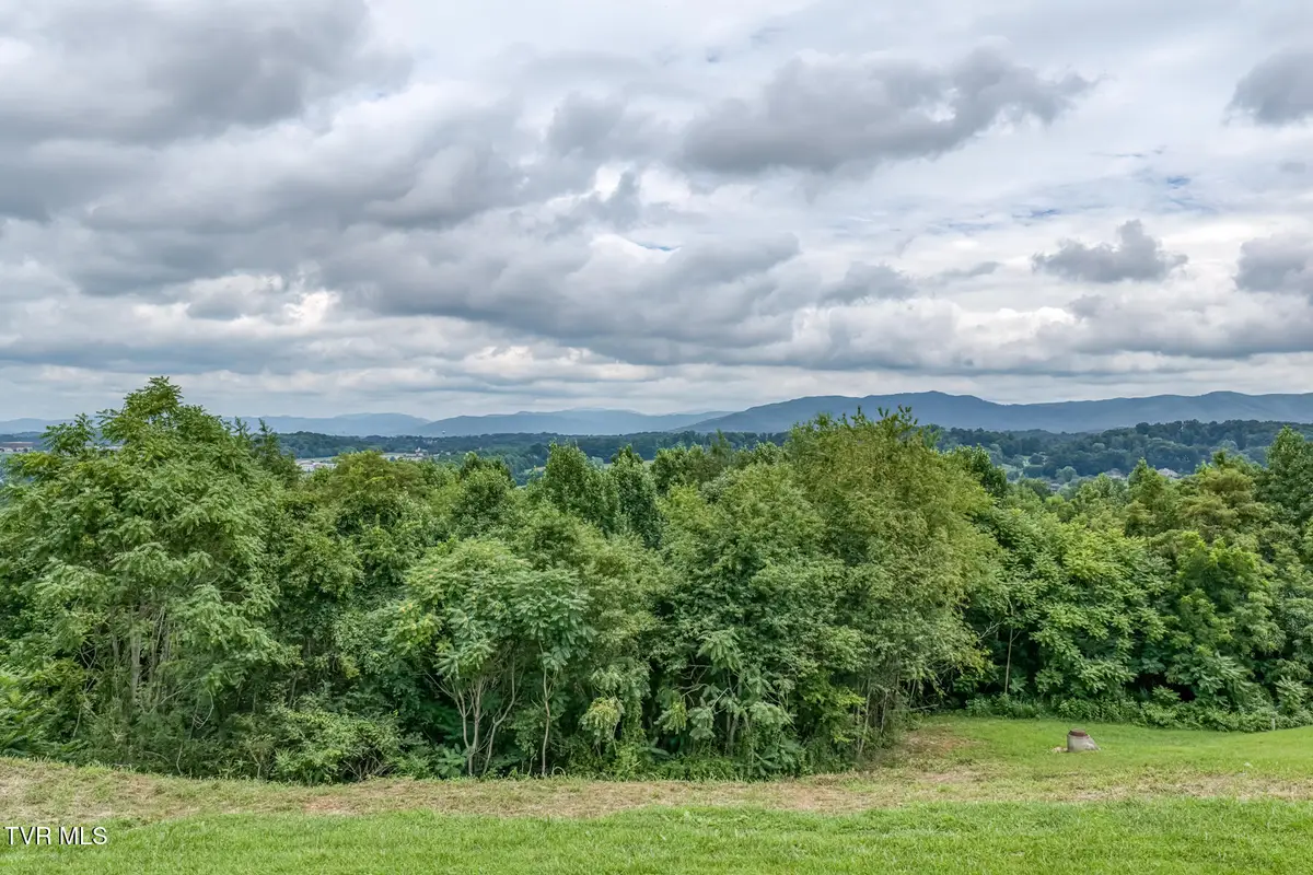 119 Simmons Ridge, Johnson City, TN 37604 - #1