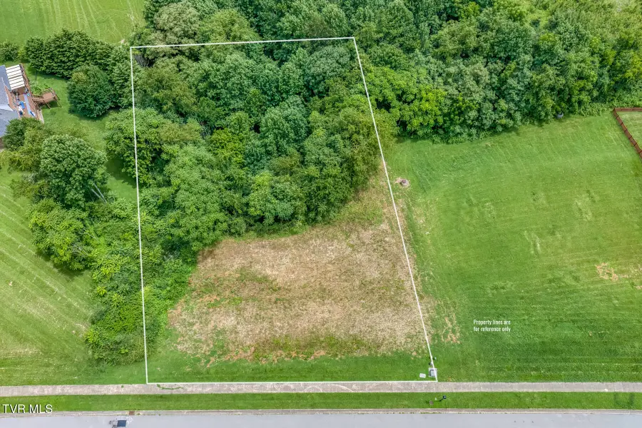 119 Simmons Ridge, Johnson City, TN 37604 - #2