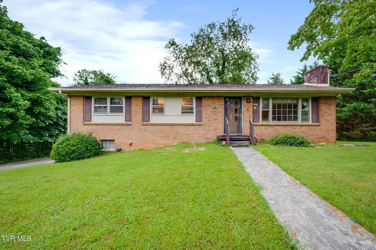 230 Russell Road, Blountville, TN 37617 - #1