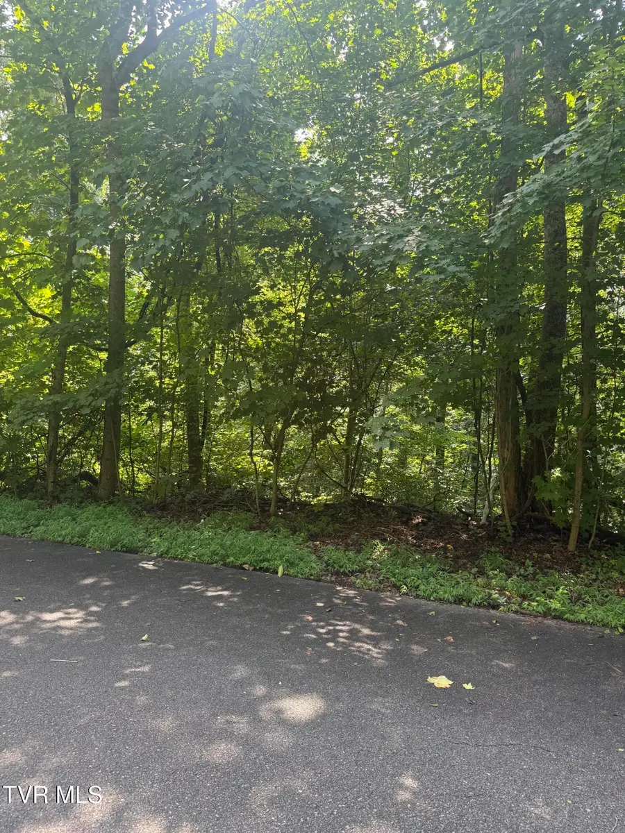 2208 Nantucket Drive, Johnson City, TN 37604 - #2