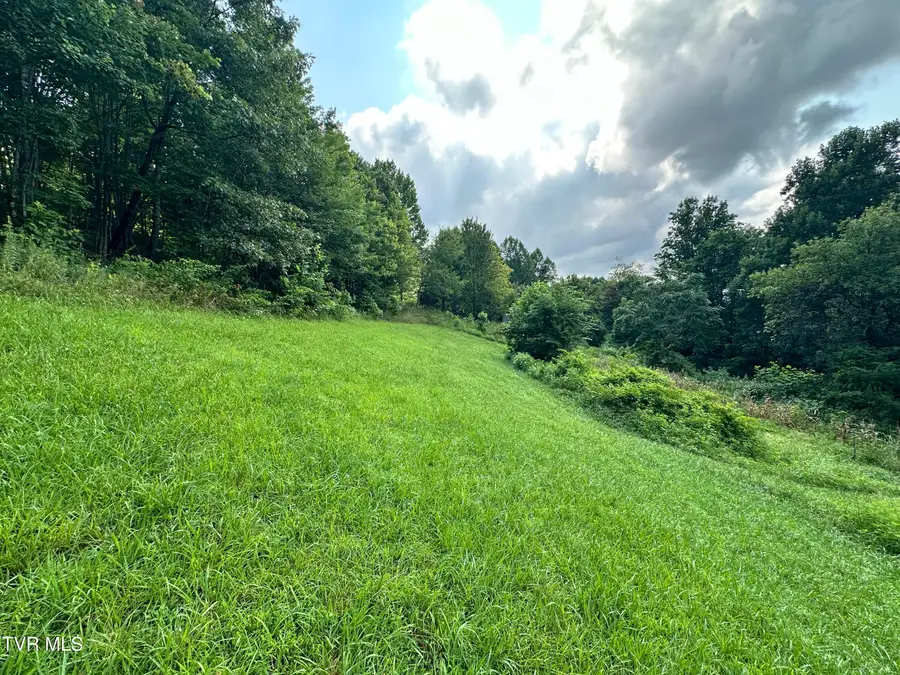 Tbd Duff Patt Highway, Duffield, VA 24244 - #2