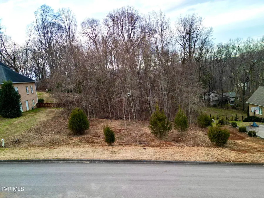 160 Sugarcane Lane, Blountville, TN 37617 - #3