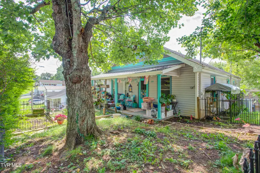 2111 East Watauga Avenue, Johnson City, TN 37601 - #2