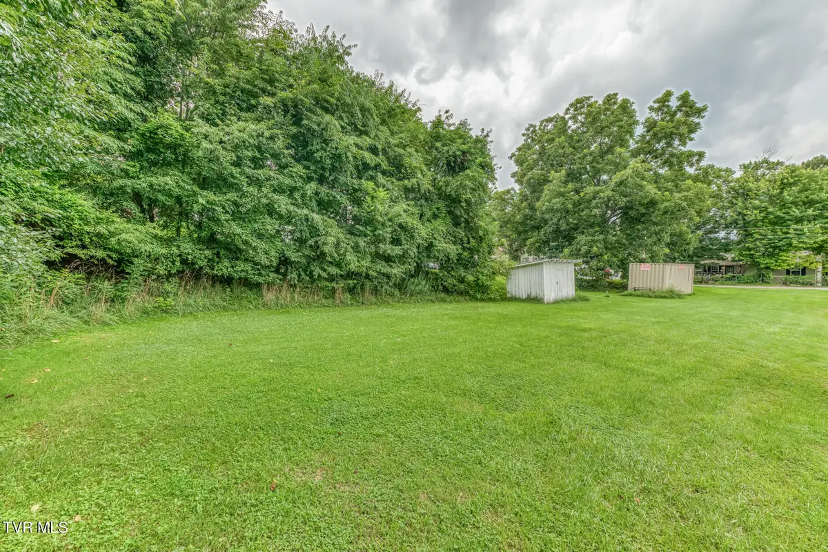 310 Mill Street, Bluff City, TN 37618 - #1