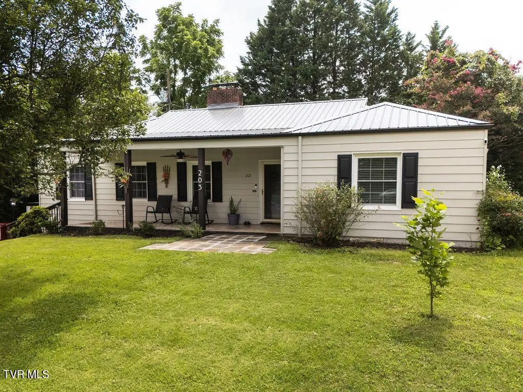 203 East Gilmer Park, Johnson City, TN 37604 - #1