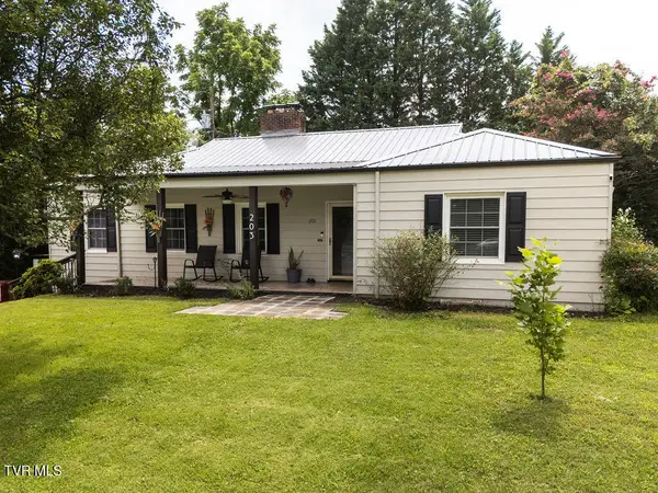 203 East Gilmer Park, Johnson City, TN 37604