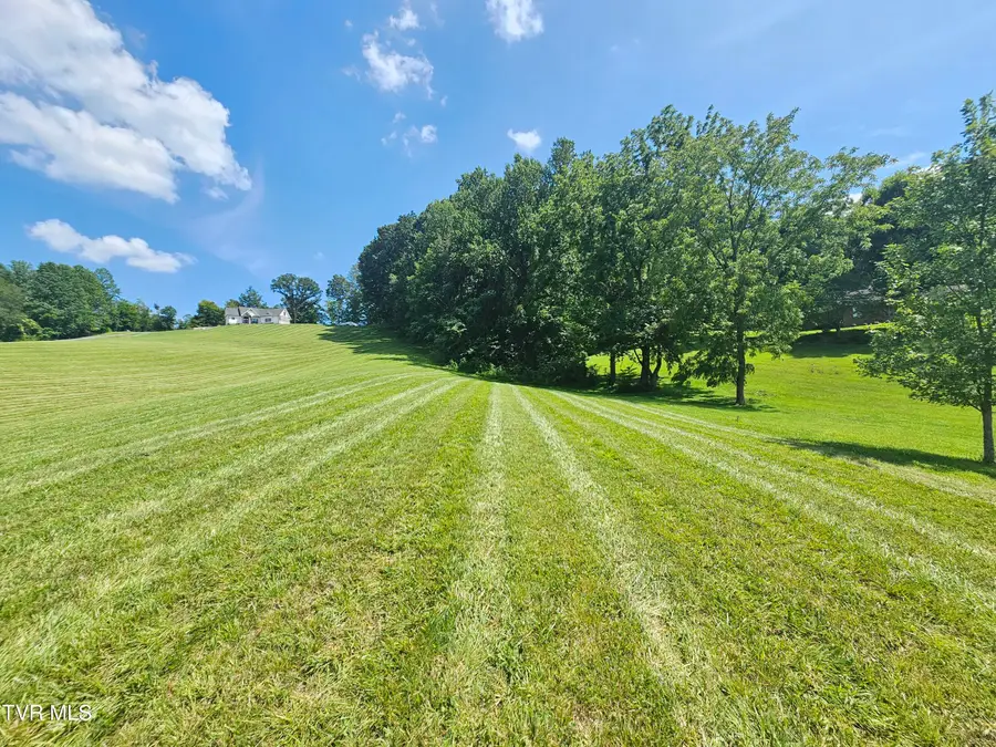 215 Hales Road, Jonesborough, TN 37659 - #2