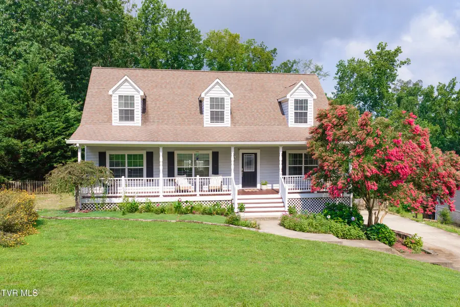 263 Holland View Drive, Jonesborough, TN 37659 - #2