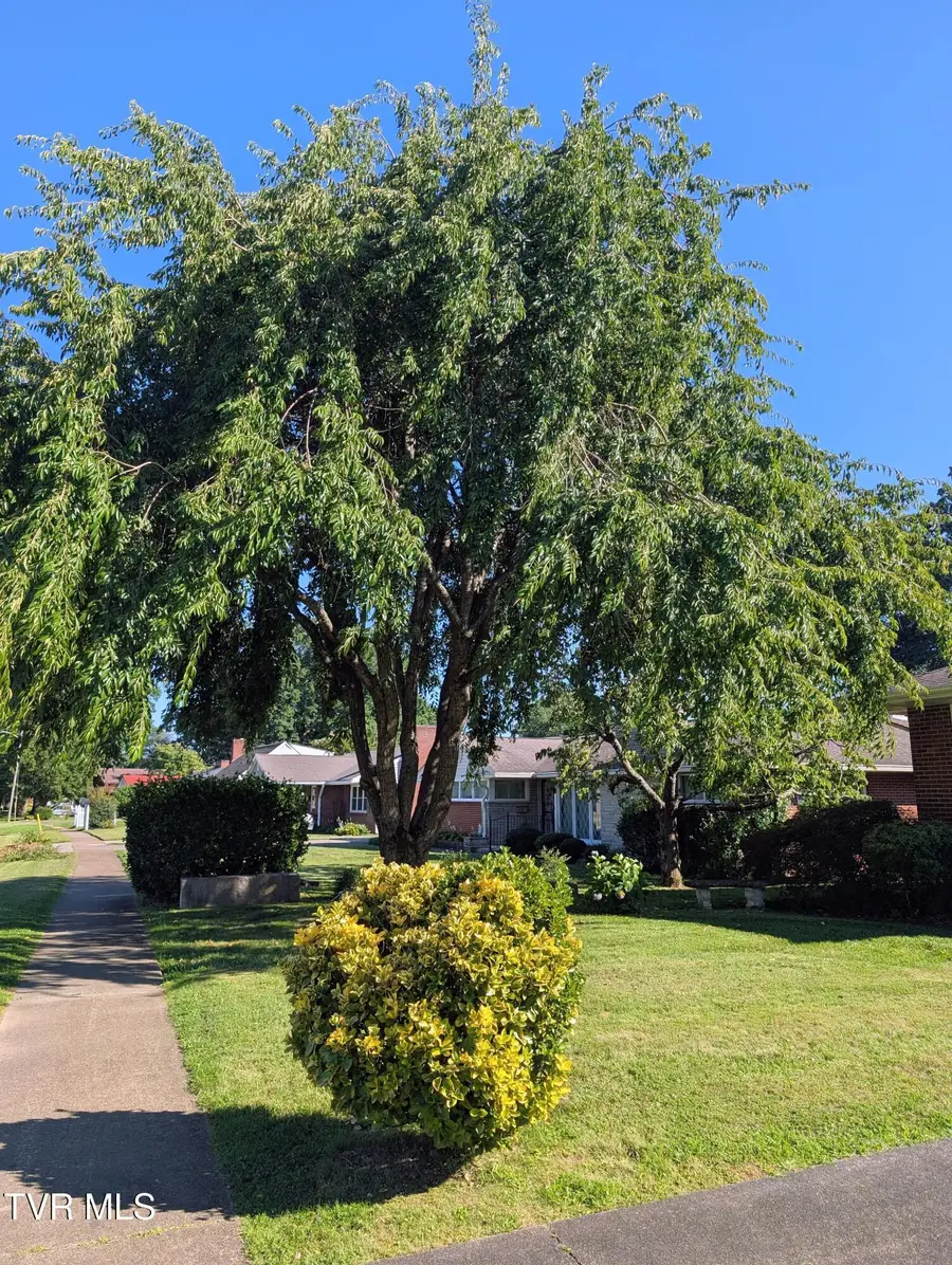 1801 East Sevier Avenue, Kingsport, TN 37664 - #3