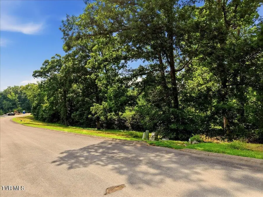 6291 Outlook Trail, Russellville, TN 37860 - #2