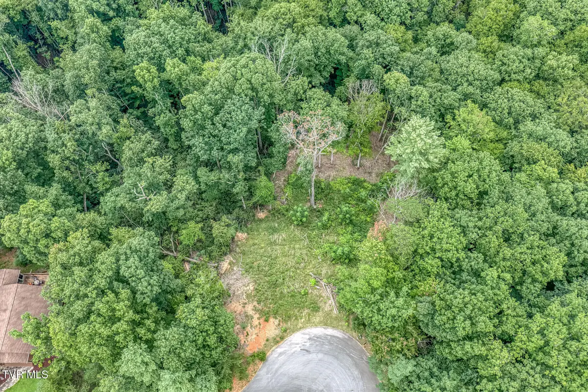 129 Mountain Laurel Court, Unicoi, TN 37692 - #1