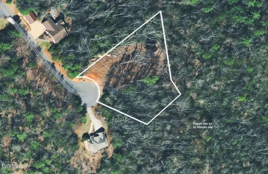 129 Mountain Laurel Court, Unicoi, TN 37692 - #2