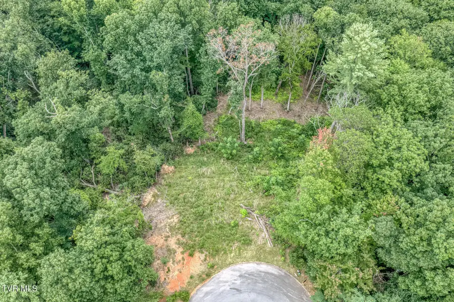 129 Mountain Laurel Court, Unicoi, TN 37692 - #3