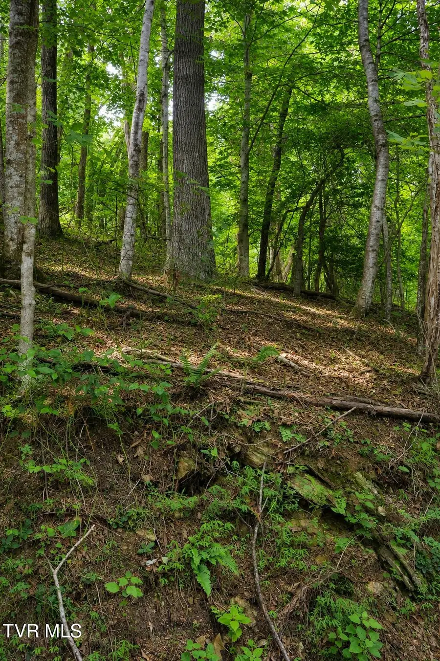Tbd Moody Circle, Butler, TN 37640 - #3