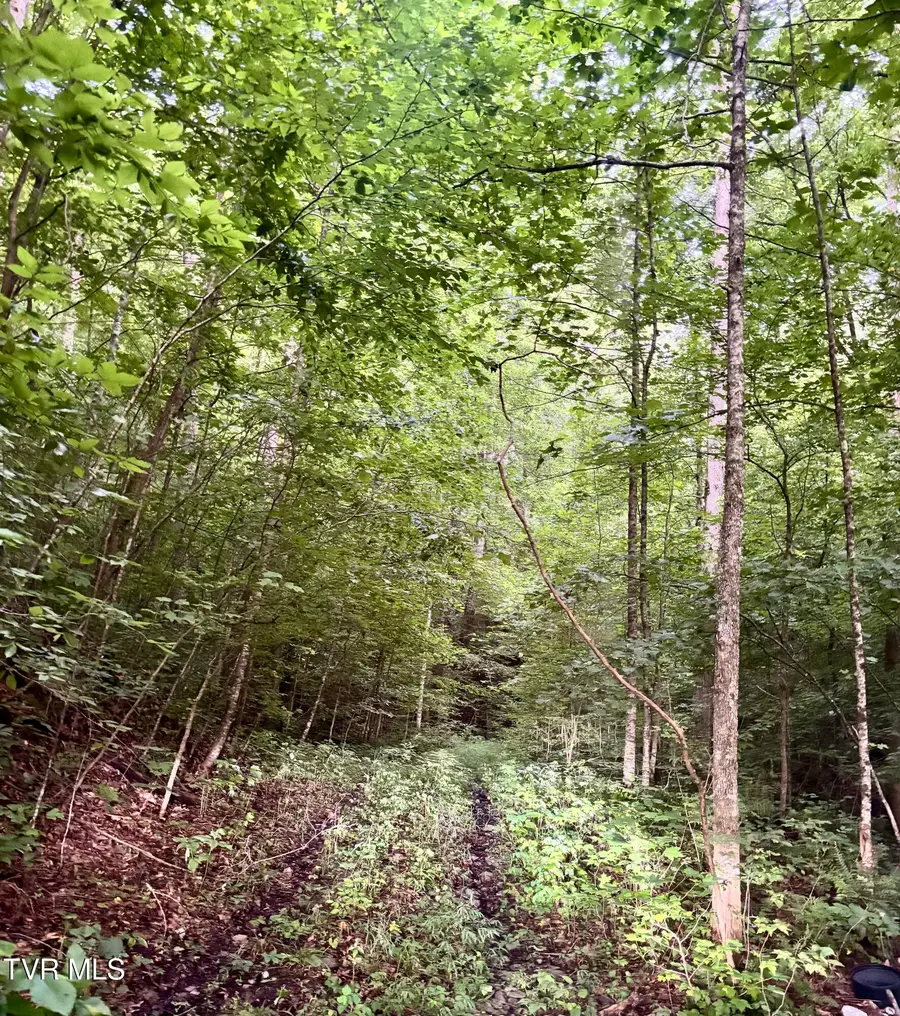 Tbd Hubbard Springs Road, Jonesville, VA 24263 - #3