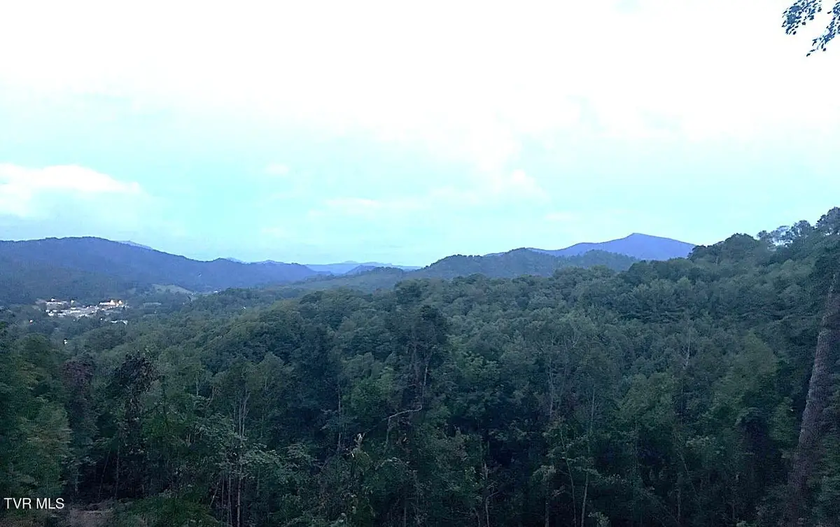 Tbd Laurel Highlands Road, Roan Mountain, TN 37687 - #1