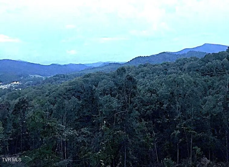 Tbd Laurel Highlands Road, Roan Mountain, TN 37687 - #2