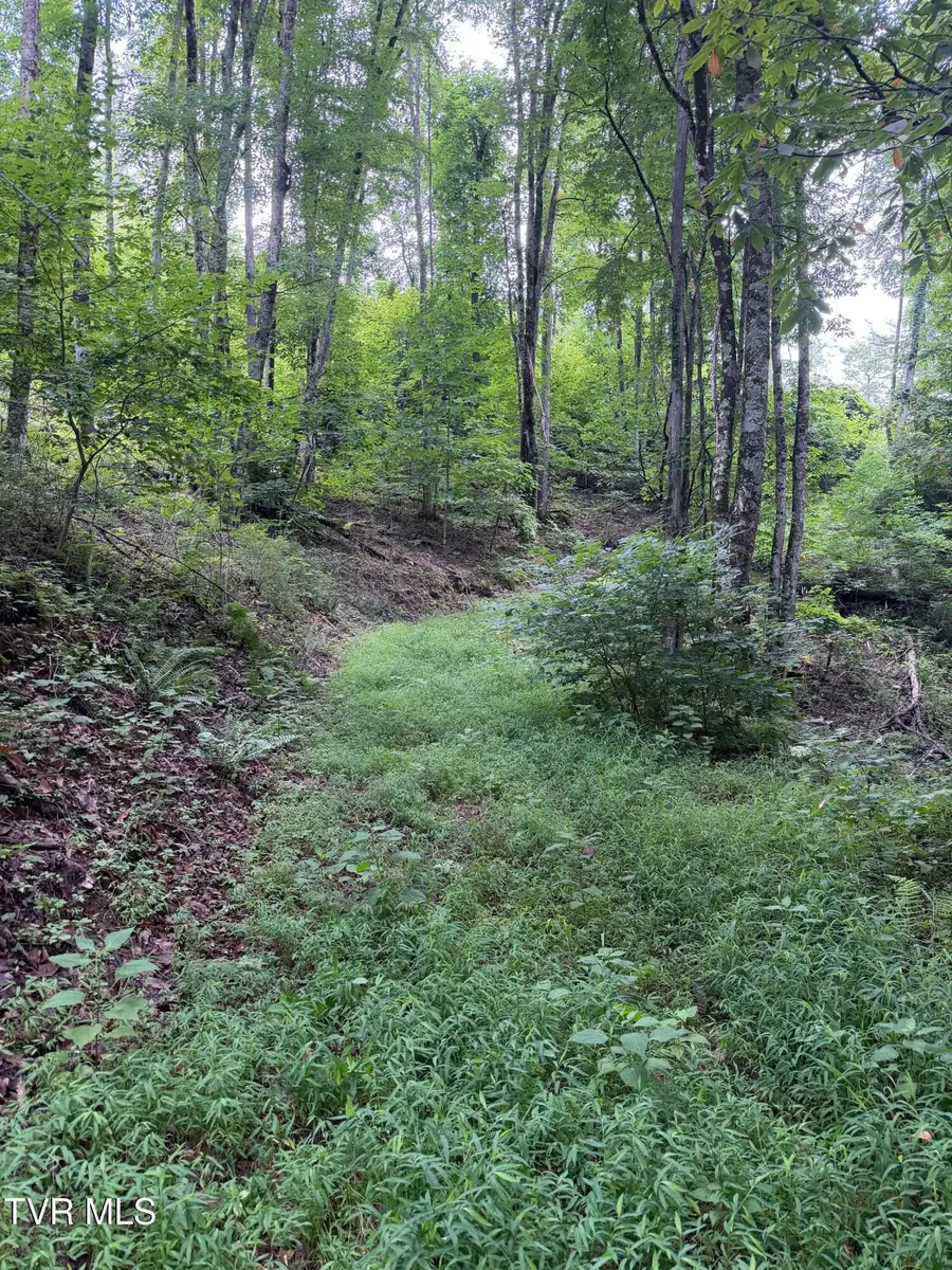 Tbd Laurel Highlands Road, Roan Mountain, TN 37687 - #3