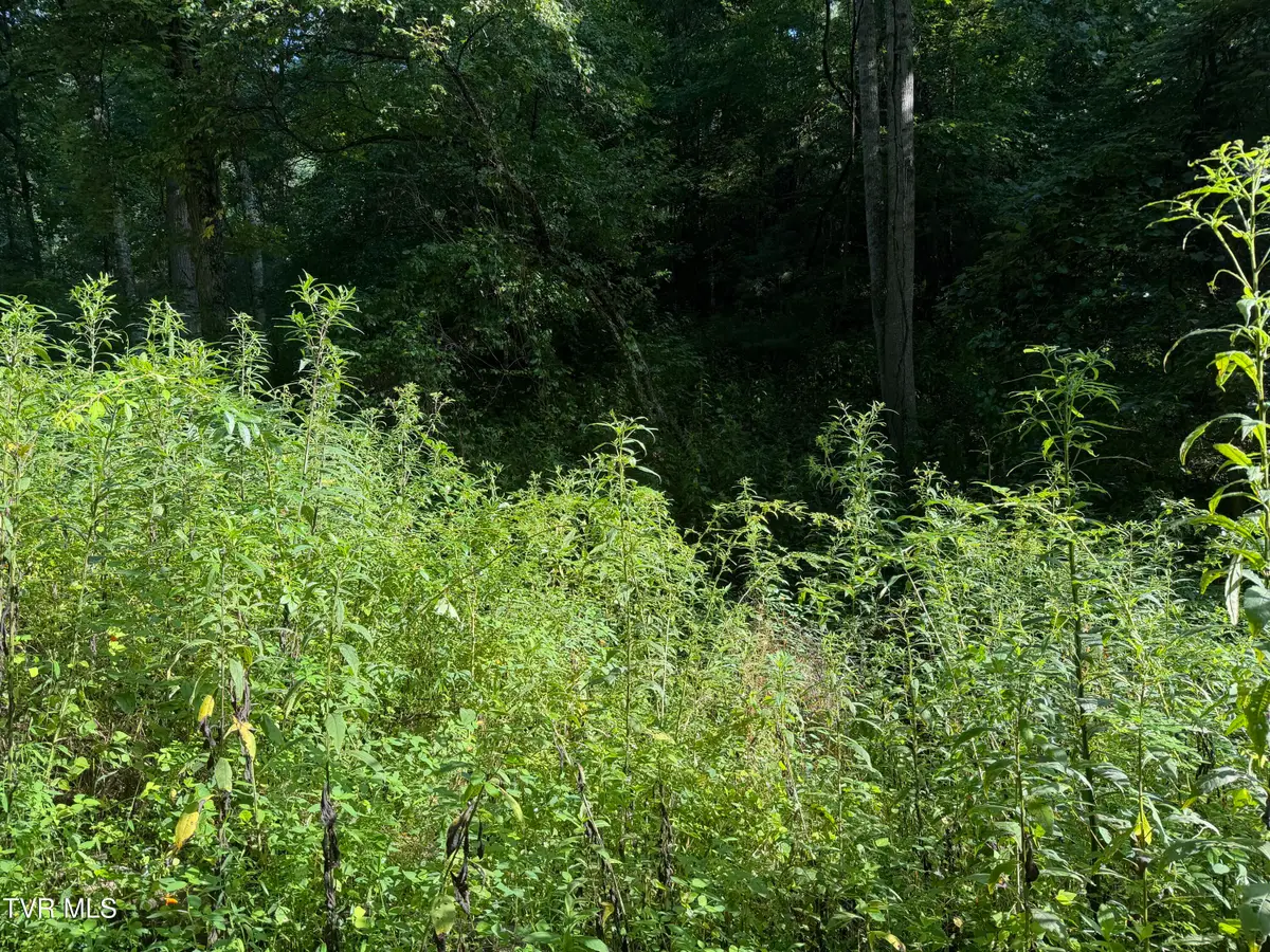 00 Of Williams Lane, Butler, TN 37640 - #1