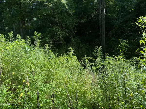 00 Of Williams Lane, Butler, TN 37640