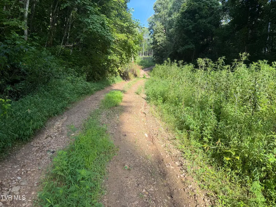 00 Of Williams Lane, Butler, TN 37640 - #2