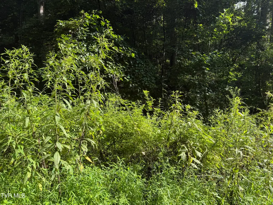 00 Of Williams Lane, Butler, TN 37640 - #3