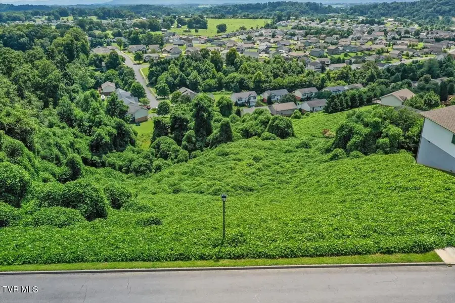 752 Birds Eye View, Jonesborough, TN 37659 - #3