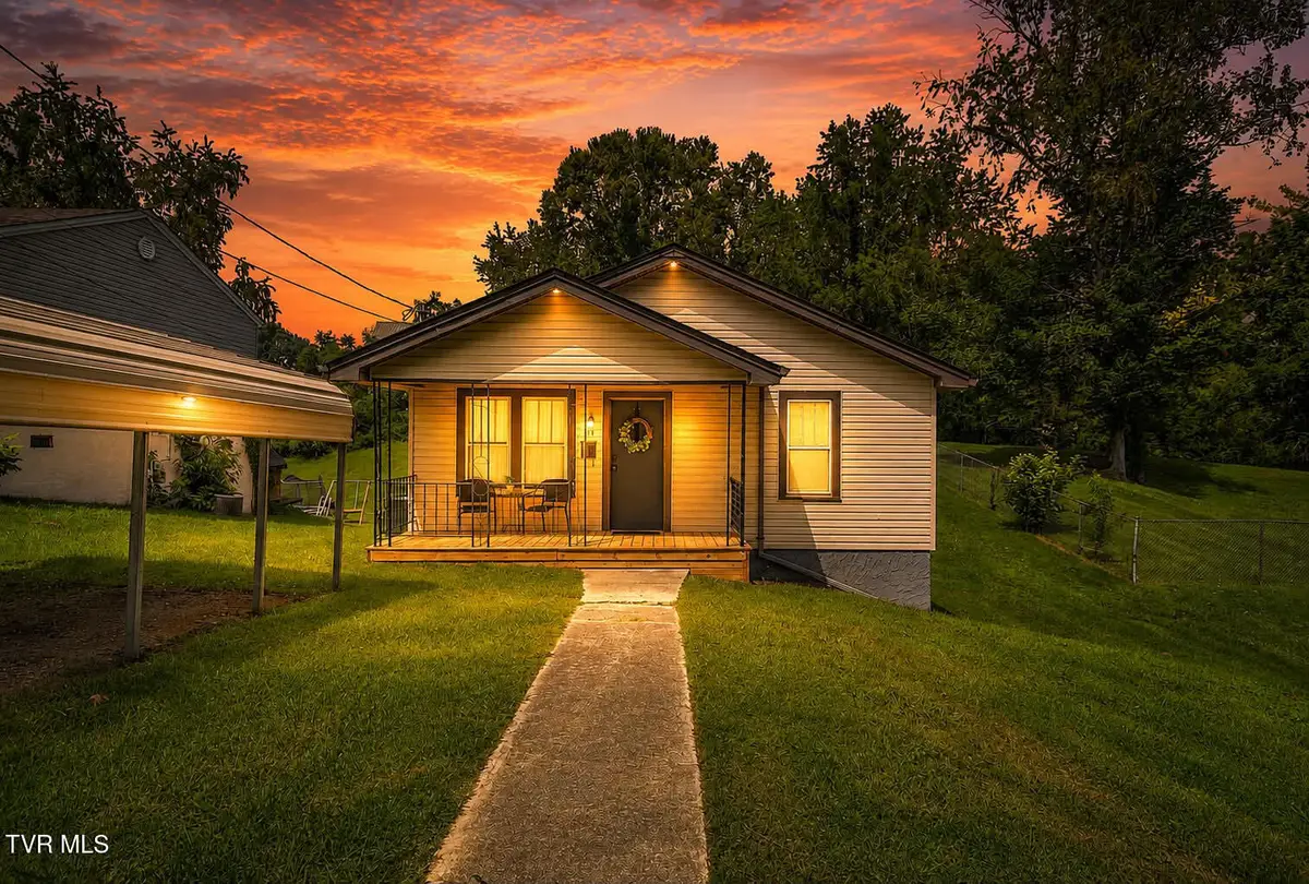 916 Pine Grove Avenue, Johnson City, TN 37601 - #1