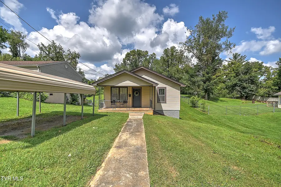 916 Pine Grove Avenue, Johnson City, TN 37601 - #2