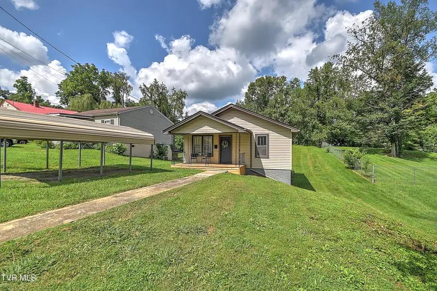 916 Pine Grove Avenue, Johnson City, TN 37601 - #3