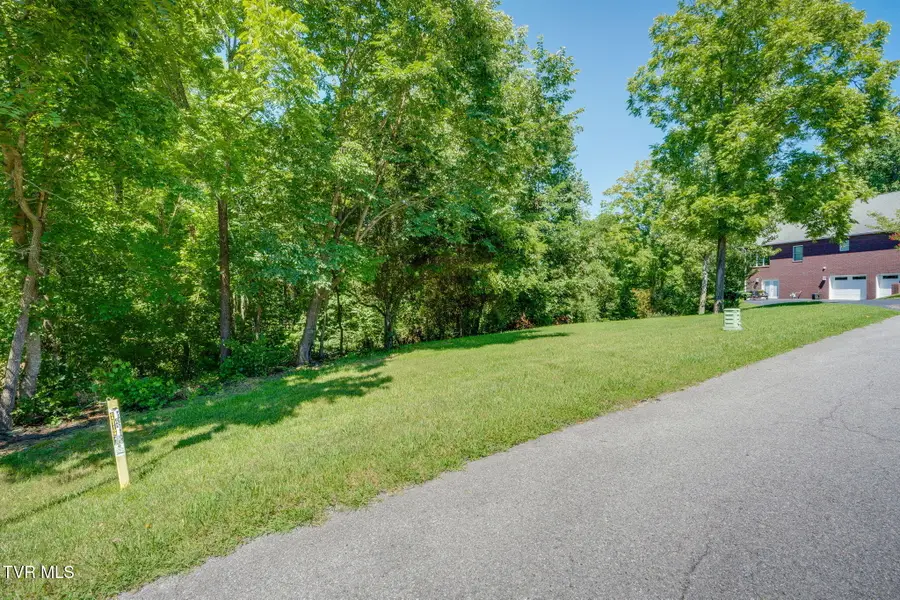 0 Burgh Heath Drive, Kingsport, TN 37660 - #3