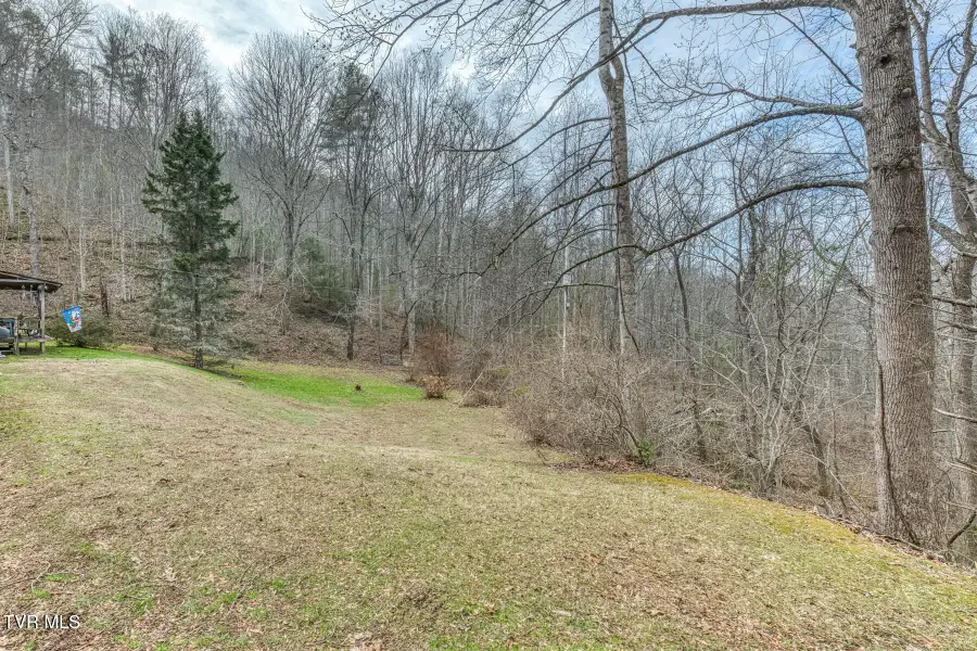 902 R D Campbell Road, Butler, TN 37640 - #3