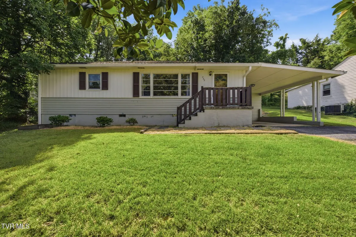 205 Pioneer Avenue, Johnson City, TN 37604 - #1