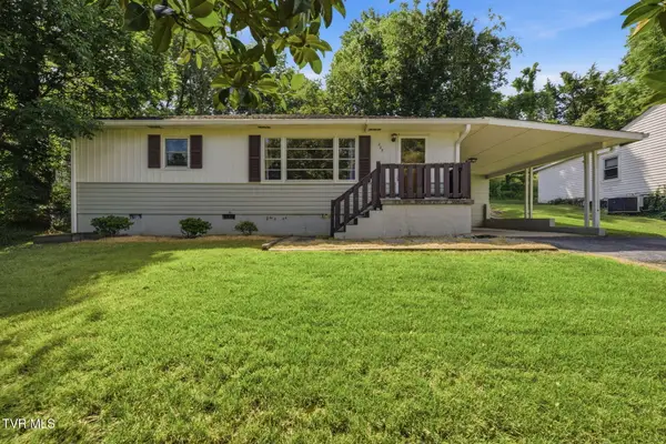 205 Pioneer Avenue, Johnson City, TN 37604