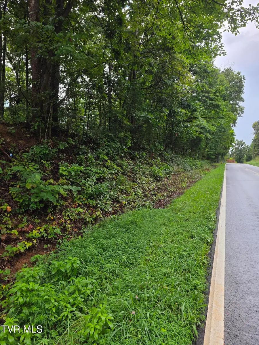 331 South Highway 340, Parrottsville, TN 37843 - #2