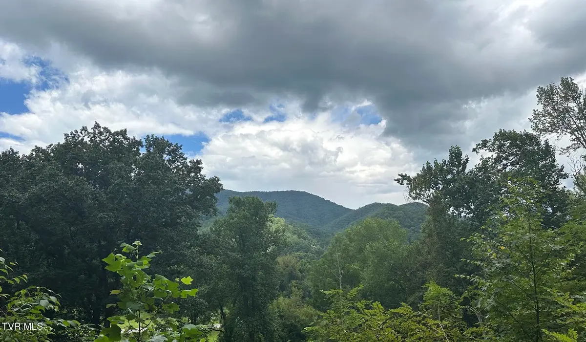 000 Old Highway Road, Erwin, TN 37650 - #1
