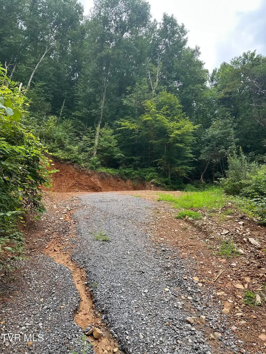 000 Old Highway Road, Erwin, TN 37650 - #3