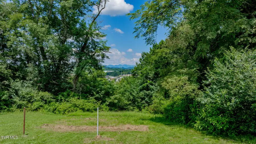 2424 Overlook Road, Kingsport, TN 37664 - #2