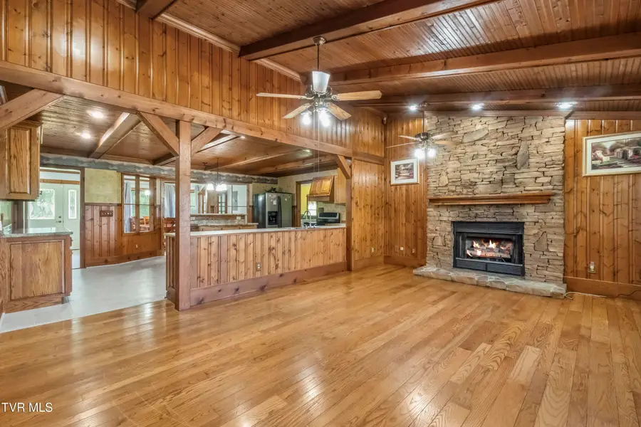 125 Calico Road, Afton, TN 37616 - #3