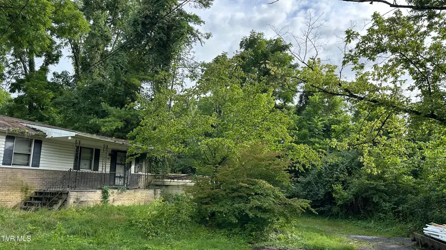 2407 West Walnut Street, Johnson City, TN 37614 - #2