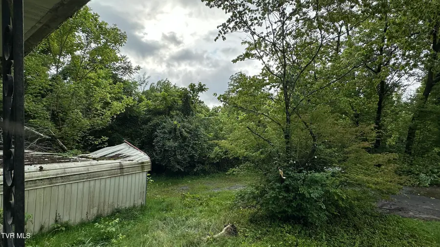 2407 West Walnut Street, Johnson City, TN 37614 - #3