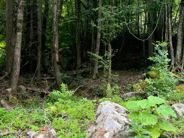 Tbd Stocton Road, Roan Mountain, TN 37687