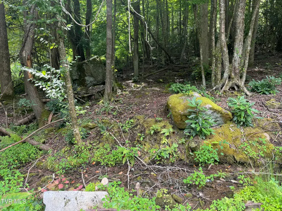 Tbd Stocton Road, Roan Mountain, TN 37687 - #2