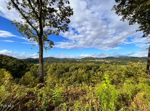 Tbd Mosier Road, Johnson City, TN 37601