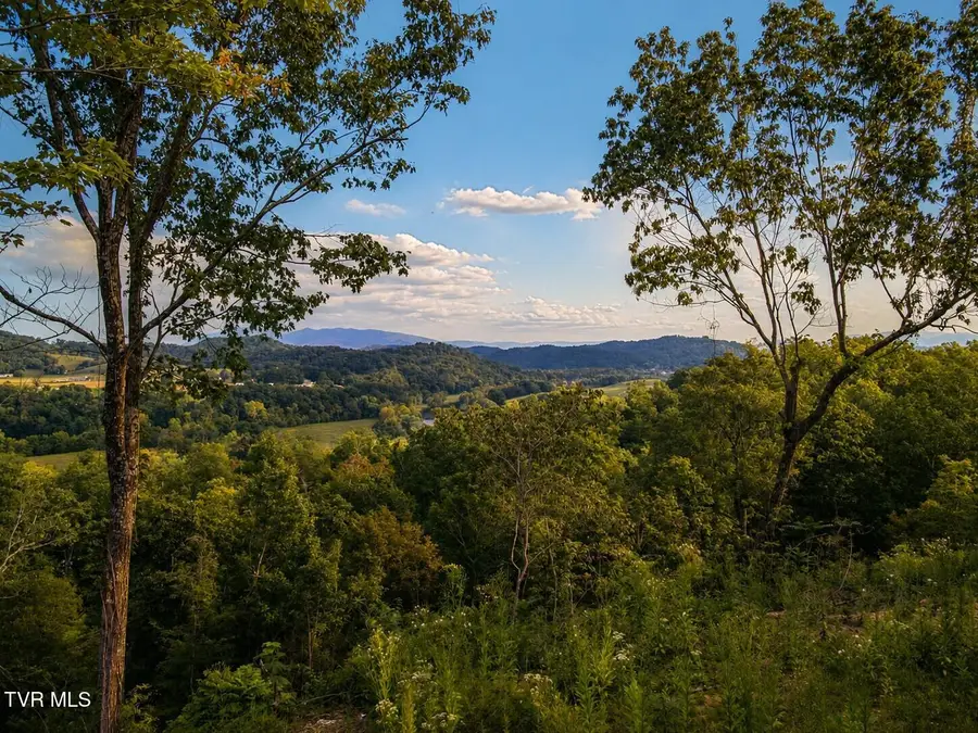 Tbd Mosier Road, Johnson City, TN 37601 - #2