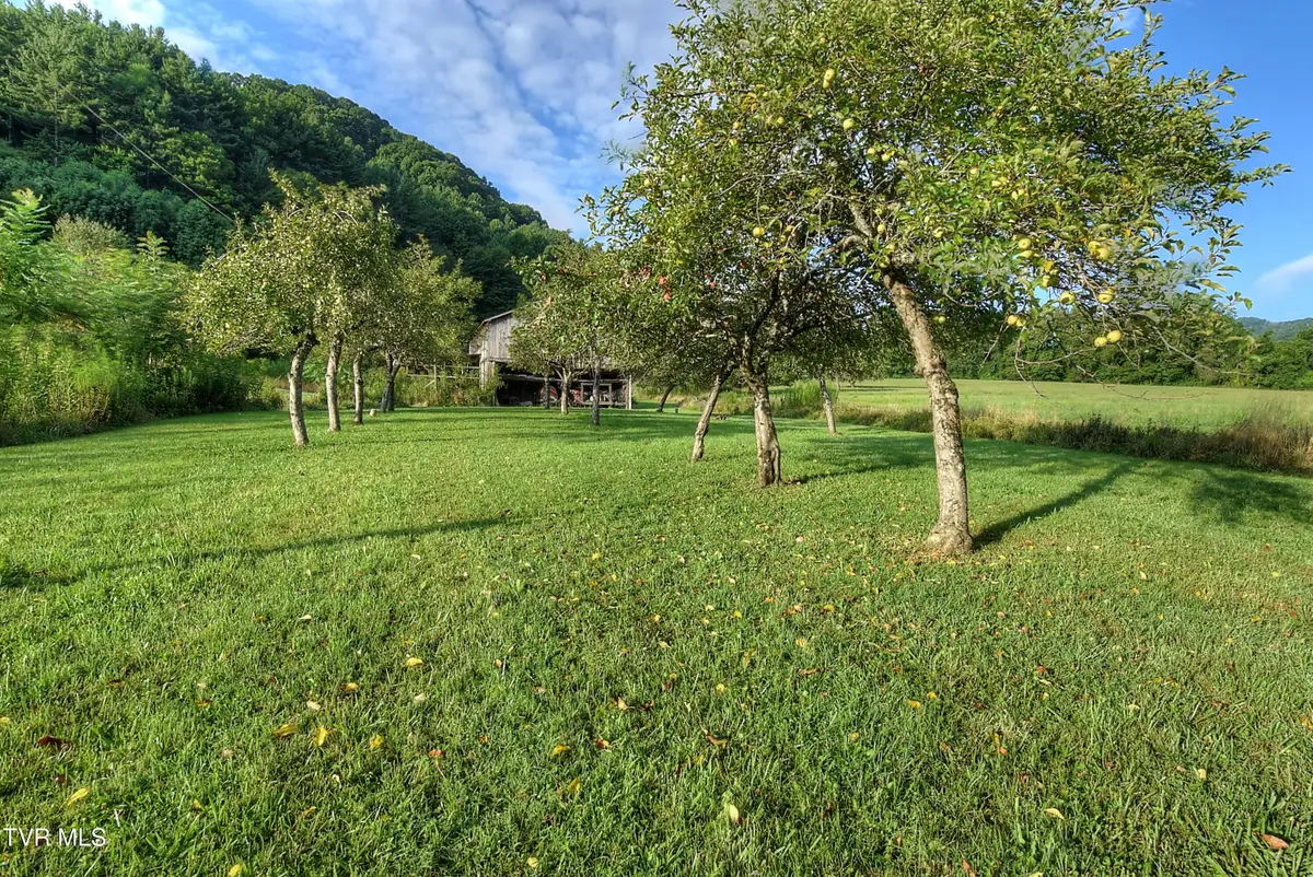 1841 Rice Creek Road, Flag Pond, TN 37657 - #1
