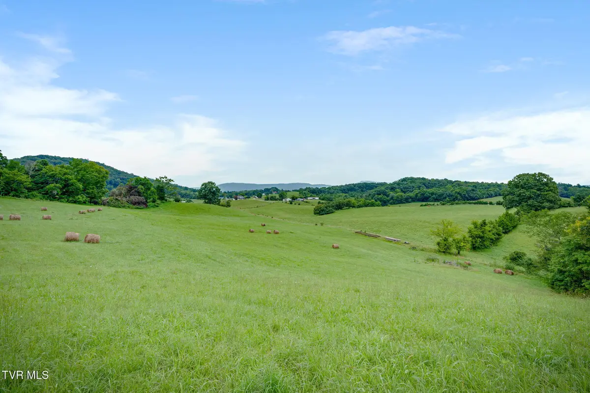 1385 Betsy Ross Road, Afton, TN 37616 - #1