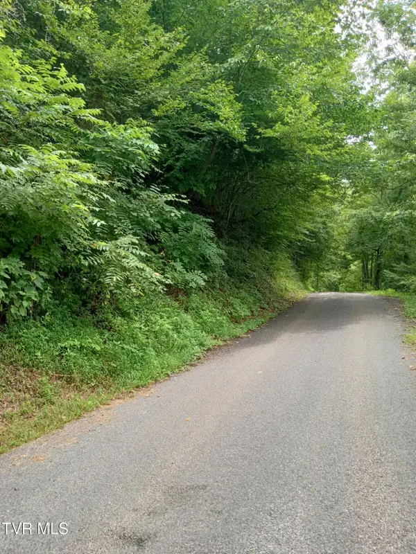 520 Byrd Creek Road, Sneedville, TN 37869