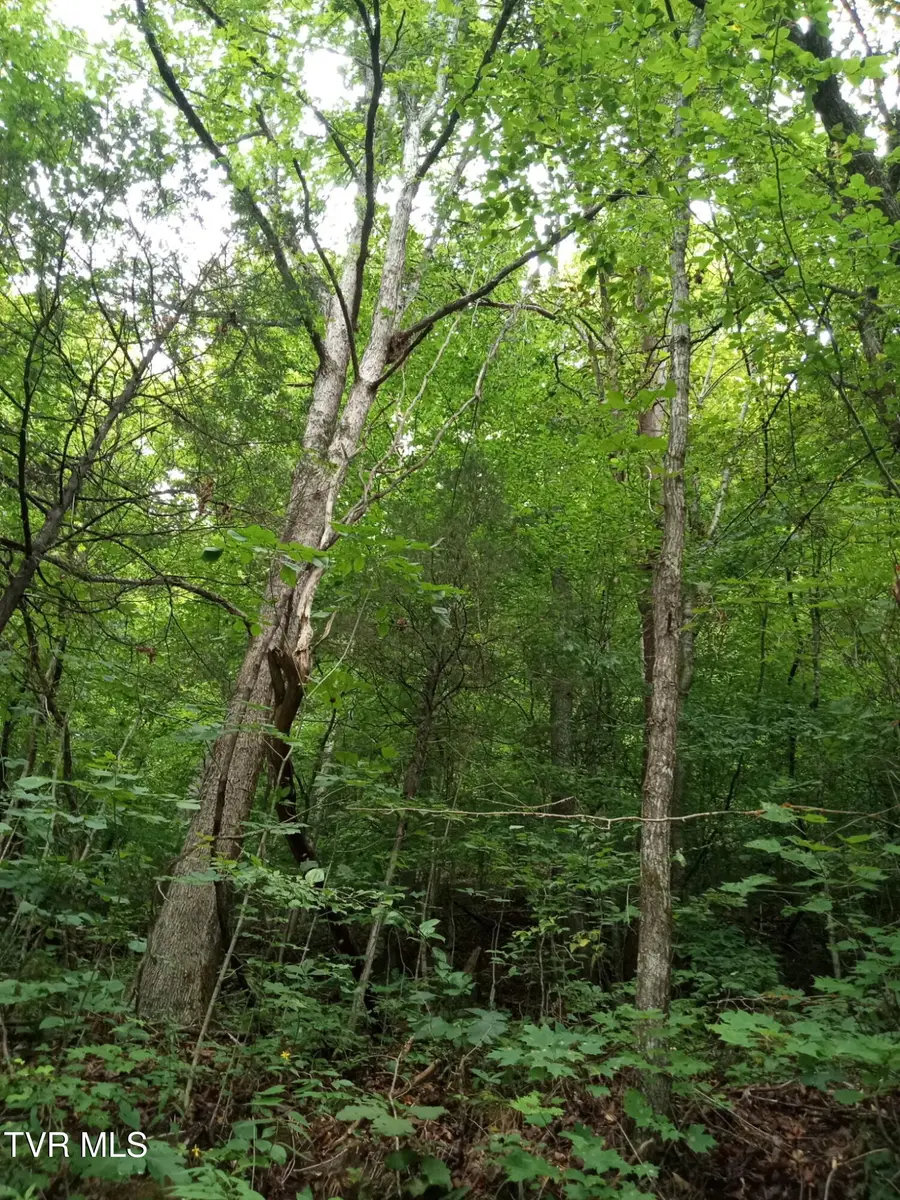 520 Byrd Creek Road, Sneedville, TN 37869 - #2