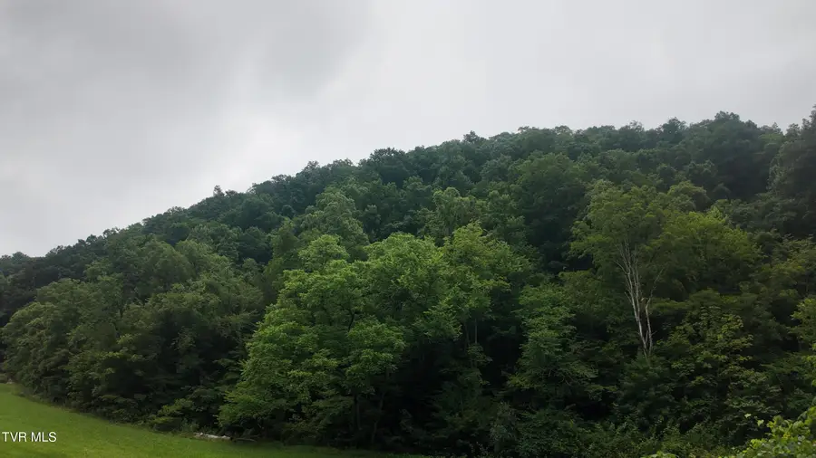0 Ford Branch Road, Duffield, VA 24244 - #2